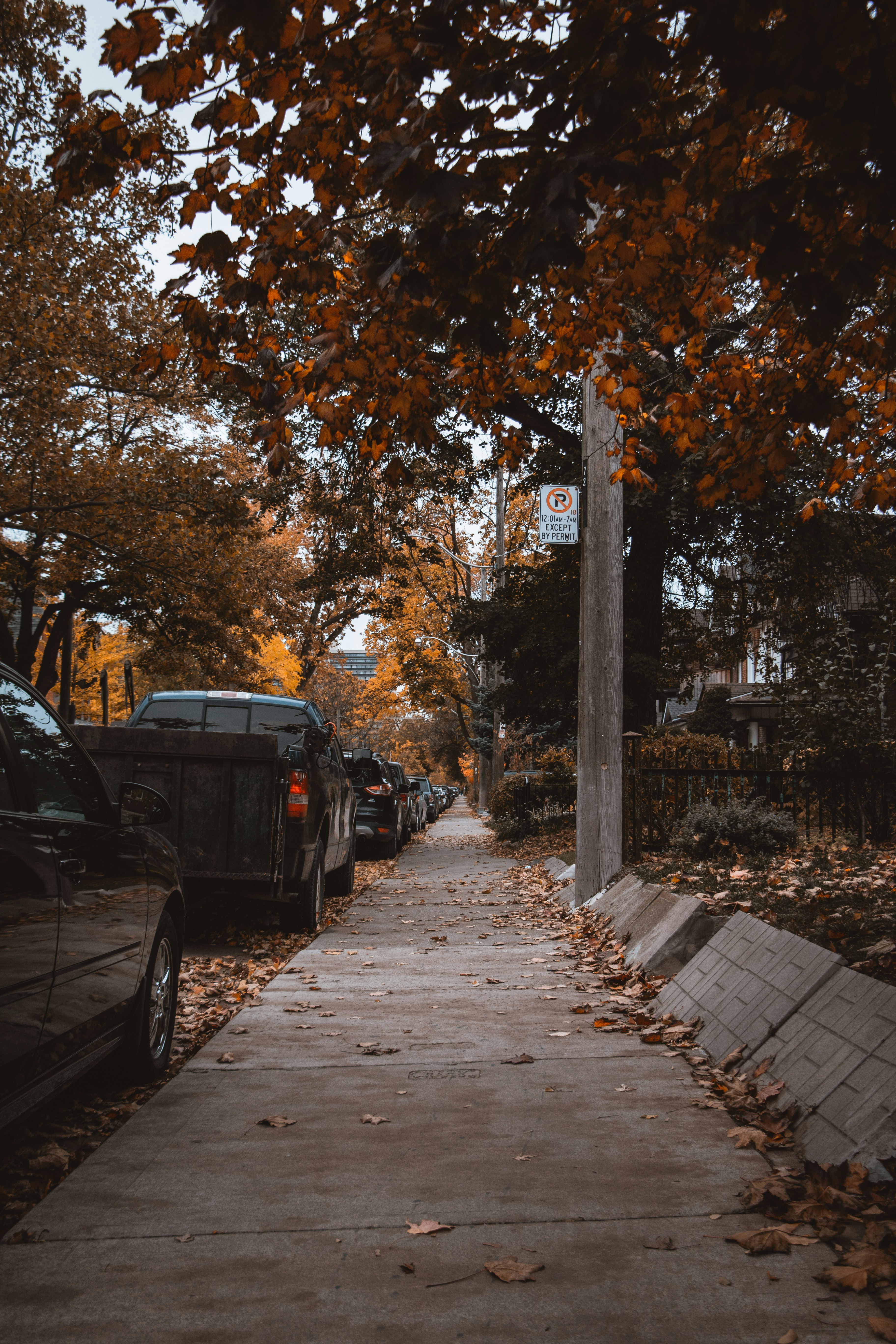 black suv parked on sidewalk near trees during daytime